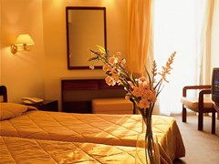 Fenix Hotel : Standard Room - photo 9