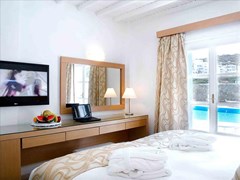 Dionysos Luxury Hotel Mykonos - photo 22
