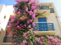 Petra Beach Hotel & Apartments - photo 4