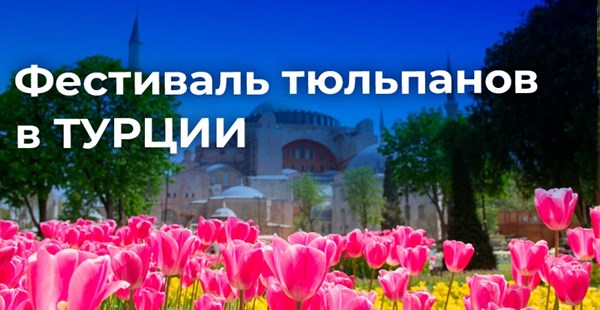 Фестиваль тюльпанов в Стамбуле: must see!